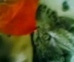 জোড়া বাঁড়ার চোদন গ্রুপ বহু বাংলাচুদাচুদি বই পুরুষের এক নারির